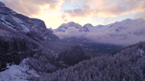 Швейцария Зимой Покрытые Снегом Горы Леса — стоковое видео