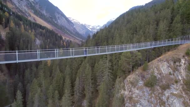在瑞士 女孩穿过横跨乌鸦的人行桥 — 图库视频影像