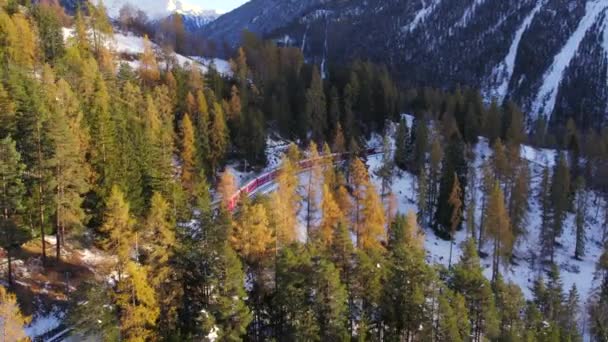 Trem Suíça Passando Por Belas Paisagens — Vídeo de Stock