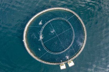 Su Kültürü Çiftliğindeki Balık Kalemi Kuşbakışı Görünümü