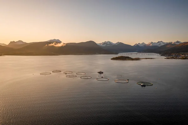 Aquaculture Fish Farm Norway Sunrise Royalty Free Stock Images