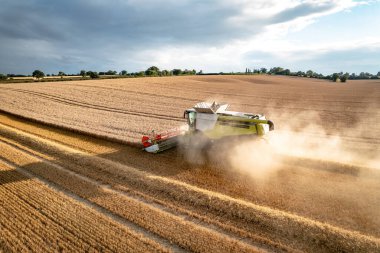Havadan görülen yaz hasadı sırasında bir tarlada biçerdöver.