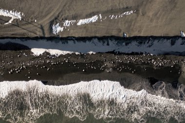 Elmas Sahili İzlanda Havacılık Kuş Gözü Görünümü