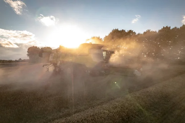 Una Mietitrice Combinata Campo Durante Vendemmia Estiva Del Grano — Foto Stock