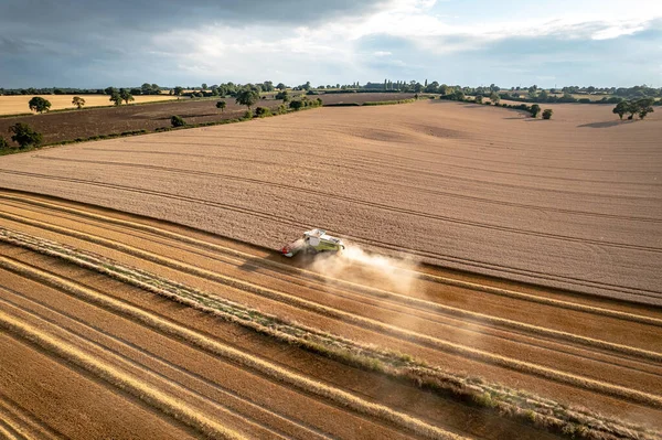 Yaz Buğday Hasadı Sırasındaki Bir Tarlada Bir Birleşmiş Hasat — Stok fotoğraf