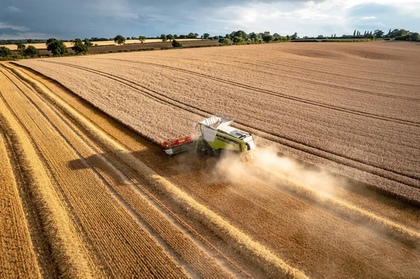 Havadan görülen yaz hasadı sırasında bir tarlada biçerdöver.