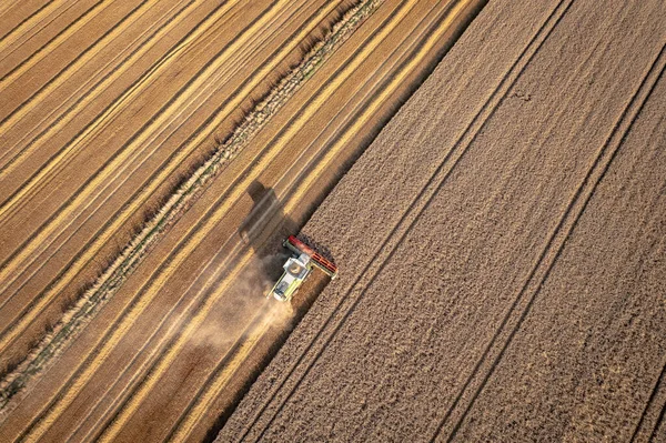 Спільний Урожай Полі Під Час Літніх Жнив Пшениці — стокове фото
