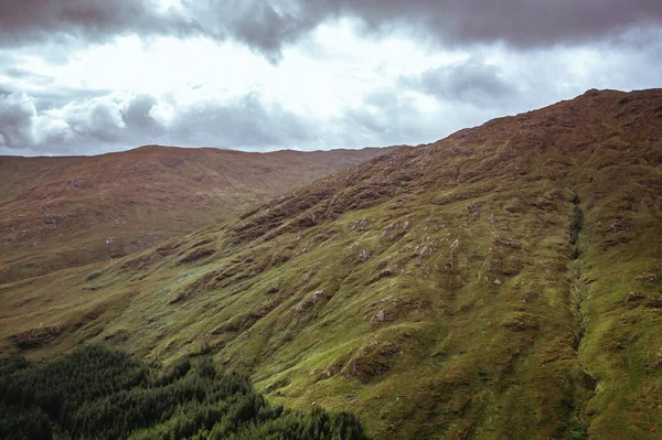 Lesy Hory Skotské Vrchovině — Stock fotografie