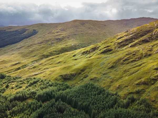 Lesy Hory Skotské Vrchovině — Stock fotografie