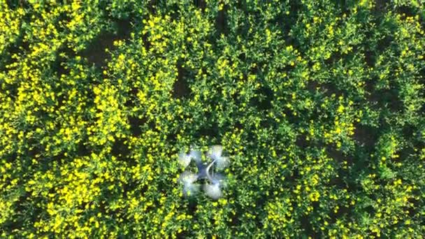 无人机飞越农作物采集数据的鸟瞰图 — 图库视频影像