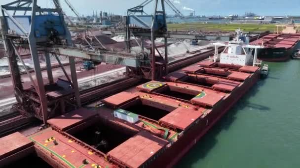 Bulk Carrier Ship Offloading Cargo Crane Processing — Stock Video