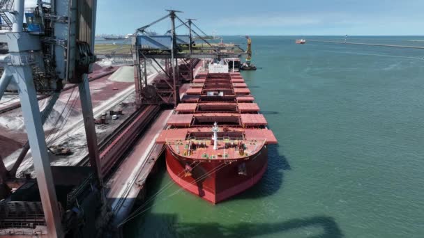 Statek Masowy Carrier Offloading Cargo Crane Processing — Wideo stockowe