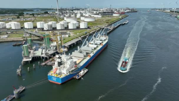 港口卸下货物及商品的散装货船 — 图库视频影像