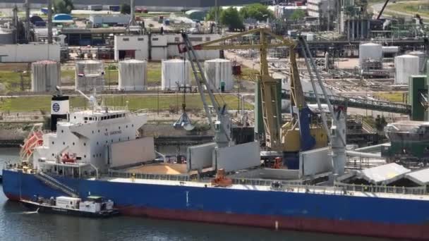 Bulkfartyg Vid Hamnlossning Last Och Råvaror Med Landkran — Stockvideo