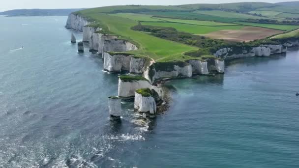 Chalk Cliffs Old Harry Rocks South Coast England — Stock Video