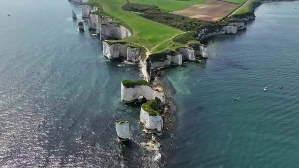 Les Falaises Craie Vieux Harry Rocks Sur Côte Sud Angleterre — Video