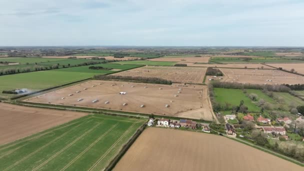 Outdoor Reared Free Range Pig Farm Aerial View — Stock Video