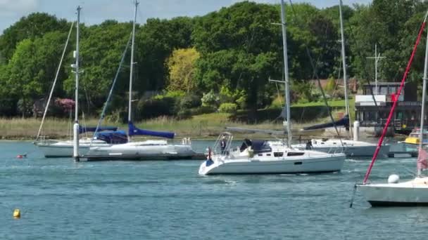 Yates Barcos Buques Río Verano — Vídeo de stock