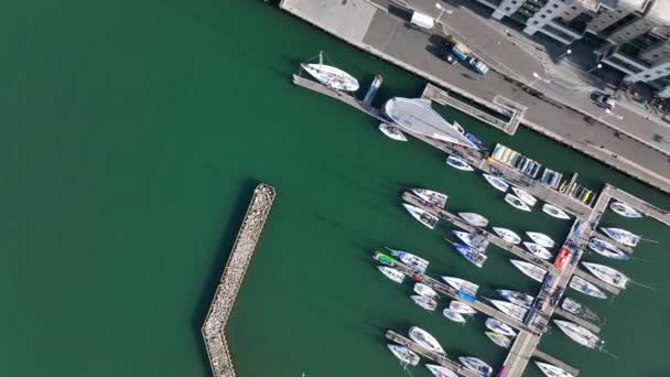 Fågelperspektiv Poole Yacht Marina Och Kaj — Stockvideo