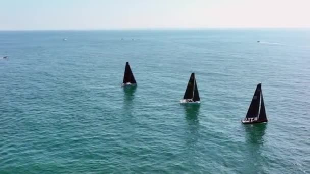 Yacht Race Sommar Antenn Utsikt — Stockvideo