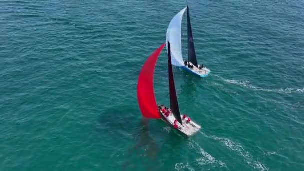 Yacht Race Sommar Antenn Utsikt — Stockvideo