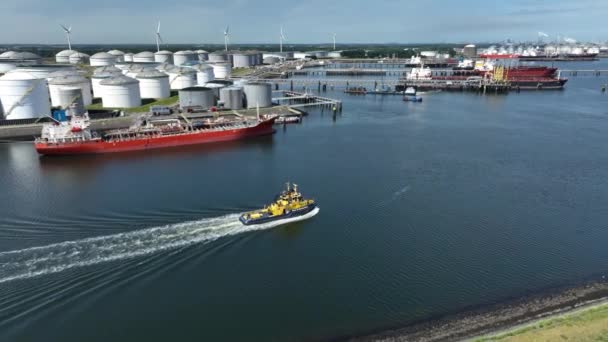 Tugboat Patrolling Waters Port Rotterdam — Stock Video