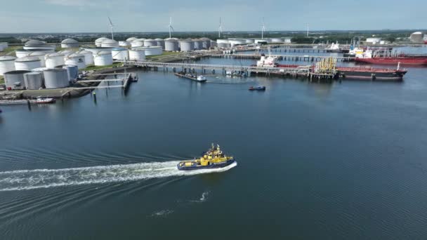 Tugboat Περιπολεί Στα Ύδατα Του Λιμανιού Του Ρότερνταμ — Αρχείο Βίντεο