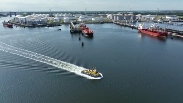 Rotterdam Limanı Nın Sularında Devriye Gezen Römorkör — Stok video