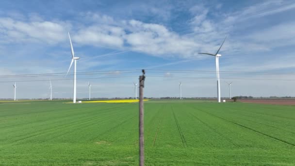 Een Rustige Dag Die Geen Elektriciteit Produceert Een Windmolenpark — Stockvideo
