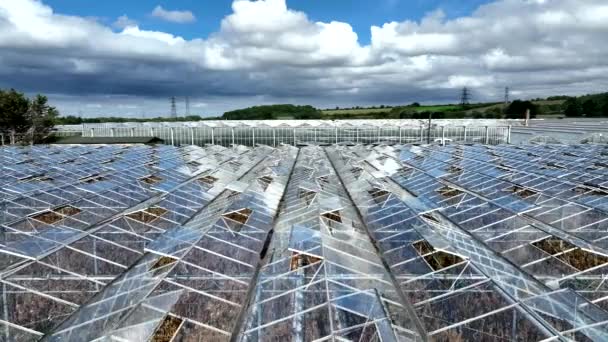 Greenhouse Używany Uprawy Owoców Warzyw Supermarketach — Wideo stockowe