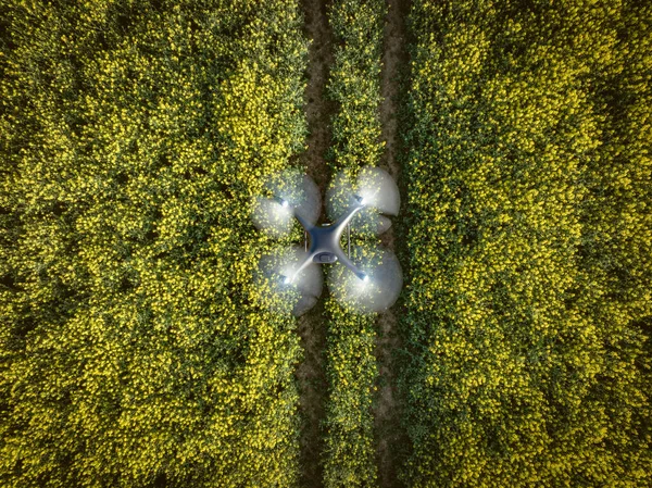 Bird Eye View Farming Drone Surveying Crops Yield Optimization — Stock Photo, Image