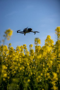 Drone, Ekin Verilerini Toplamak İçin Tarlaların Üzerinde Uçan Bir Çiftlikte Çalışıyor
