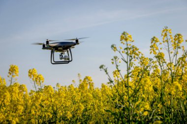 Drone, Ekin Verilerini Toplamak İçin Tarlaların Üzerinde Uçan Bir Çiftlikte Çalışıyor