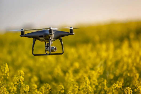 Farming Drone Flying Over an Oilseed Crop Monitoring Plant Health