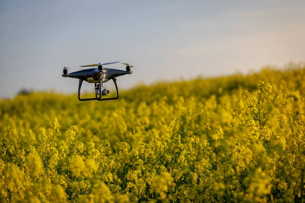 Drone Που Χρησιμοποιείται Για Γεωργία Για Συλλογή Δεδομένων Των Φυτών Φωτογραφία Αρχείου