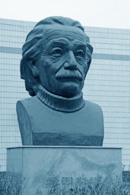 closeup kır çiçeği