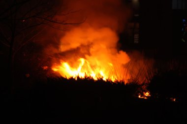 gece vahşi ateş