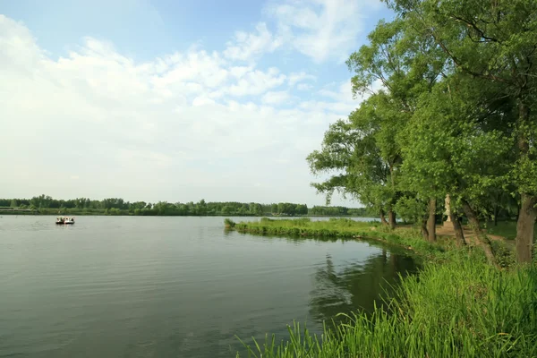 River scenery — Stock Photo, Image