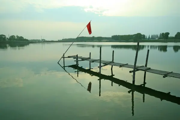 River scenery — Stock Photo, Image