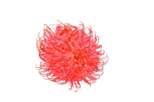 Rambutan — Stock Photo, Image