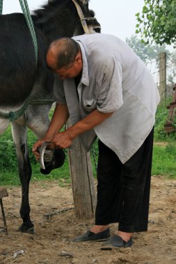 esnaf vermek bir eşek çivi palmiye, Çin
