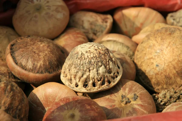 Medicina herbal chinesa — Fotografia de Stock