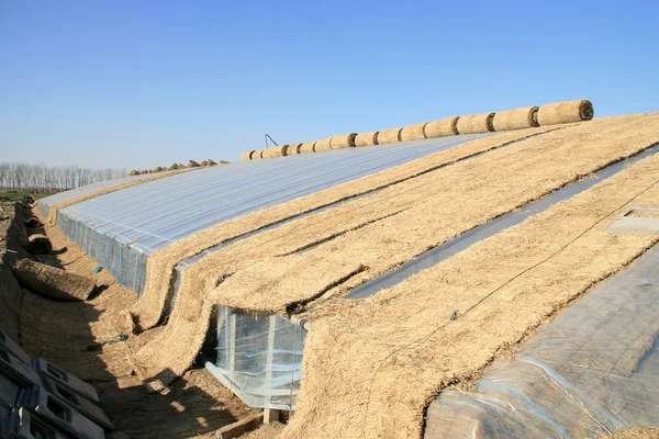 Gewächshaus für die Landwirtschaft, Nordchina — Stockfoto