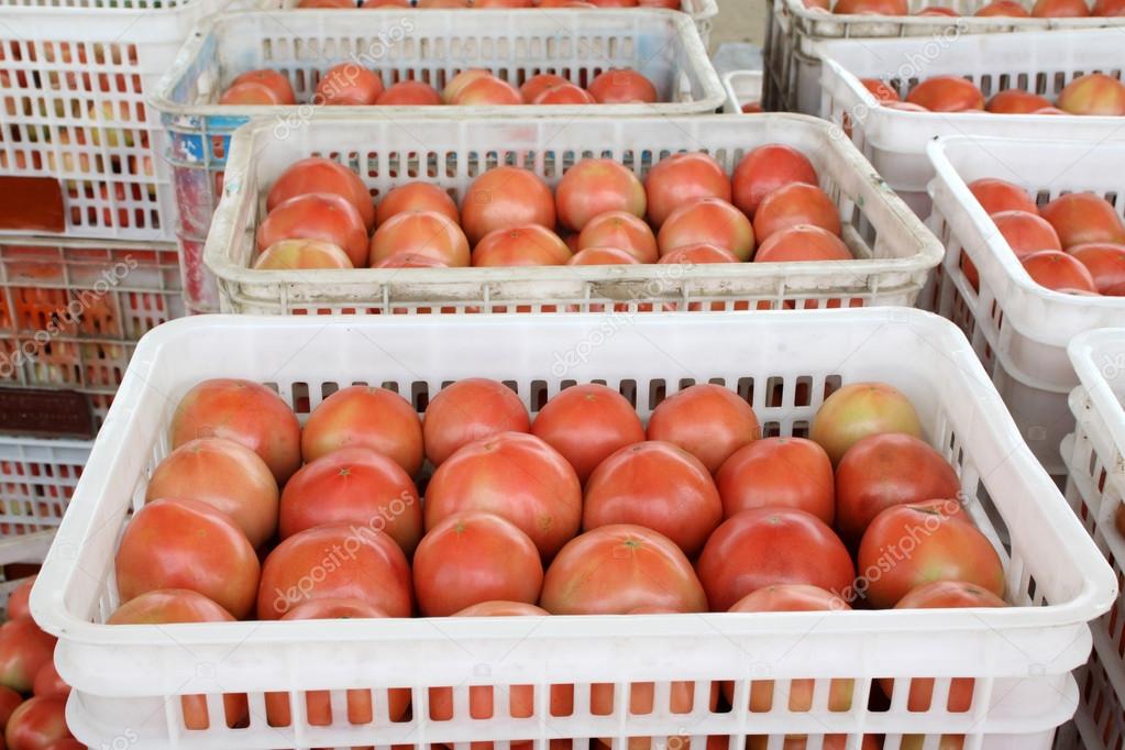 Tomatoes piling up together in a market