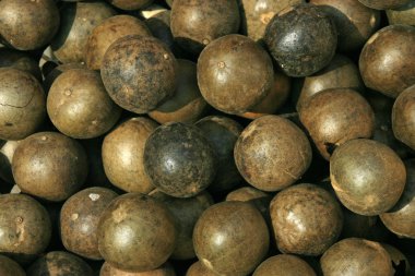 Çin Bitkisel Tıp - bitkisel çay