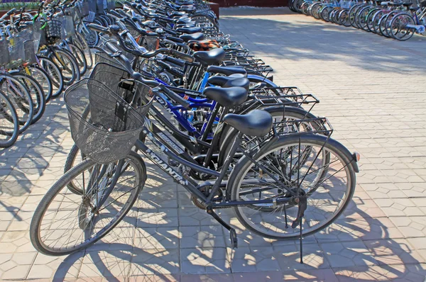 Ряды велосипедов — стоковое фото