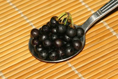 Solanum nigrum meyve