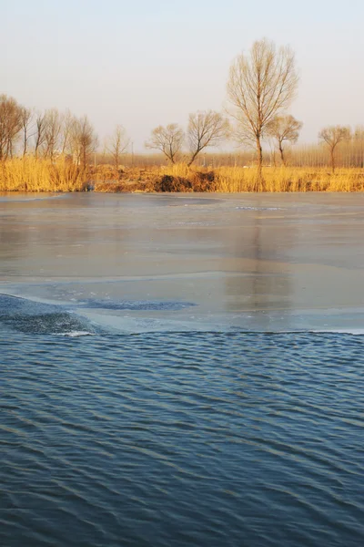 Winter rivier landschap — Stok fotoğraf