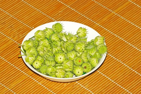 A kind of medicinal fruit — Stock Photo, Image