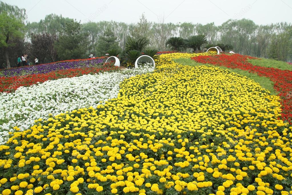flowers landscape in a park